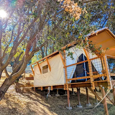 Wildhaven Yosemite Glamping Hotel Mariposa Exterior photo