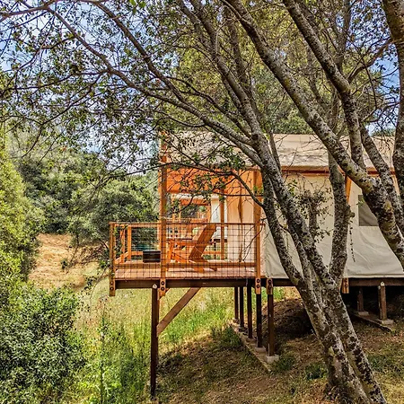 Wildhaven Yosemite Glamping Hotel Mariposa Exterior photo
