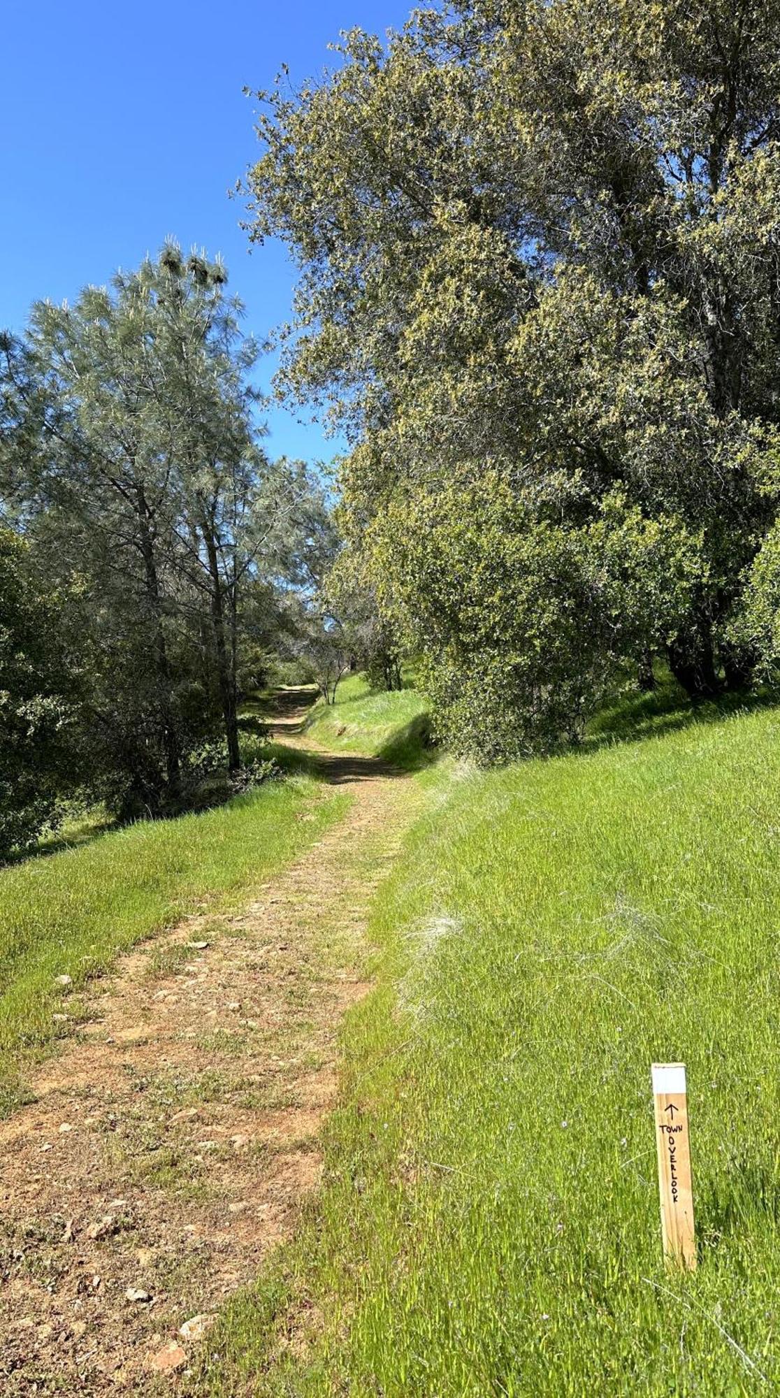 Wildhaven Yosemite Glamping *